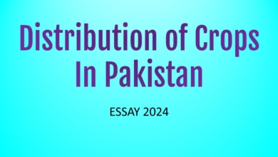 Essay on Distribution of Crops in Pakistan 2024