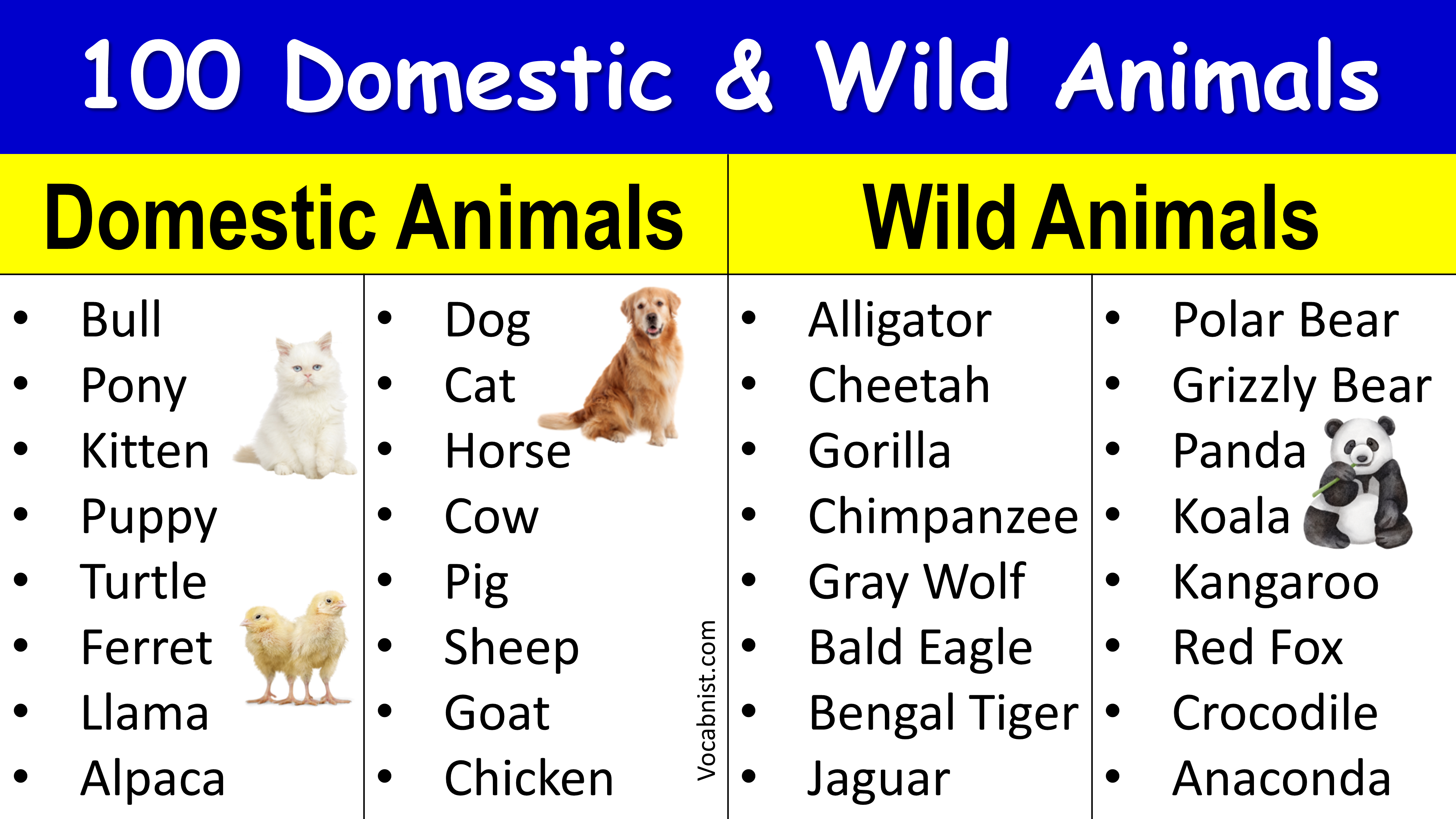 100-domestic-and-wild-animals