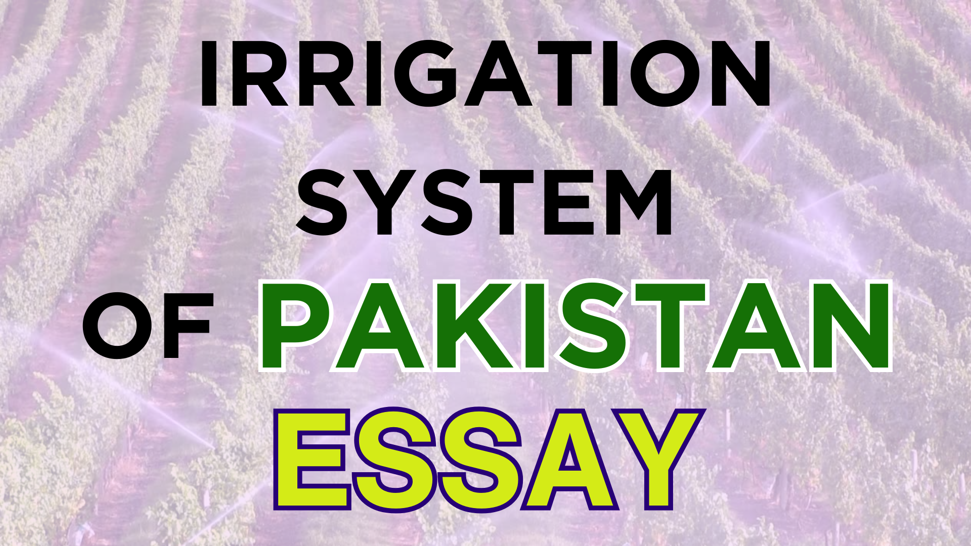 Essay on Irrigation and Canal Irrigation System Of Pakistan 2024